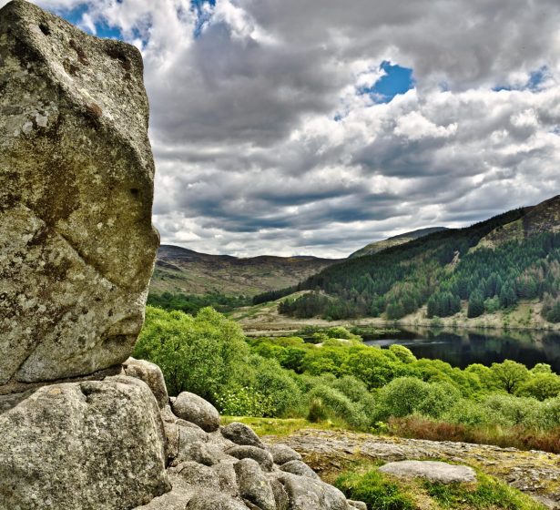 bruces stone-min